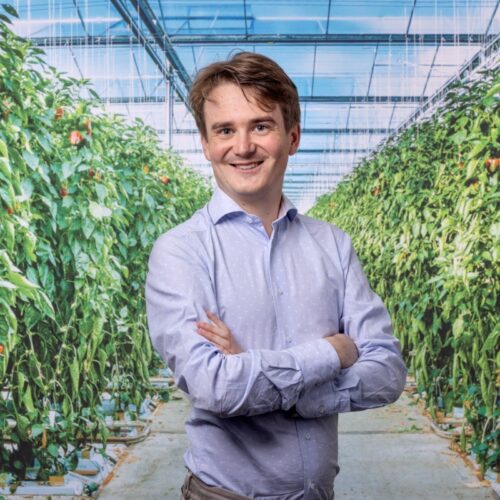 Jelle Posthuma